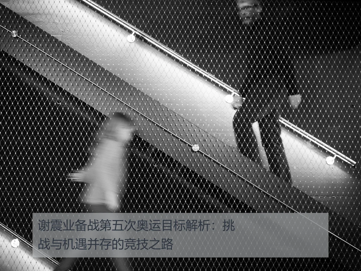 谢震业备战第五次奥运目标解析：挑战与机遇并存的竞技之路